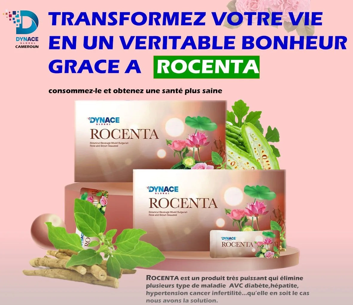CELLULES SOUCHES DYNACE ROCENTA